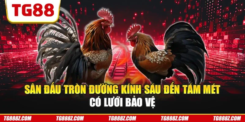 Sân đấu tròn đường kính sáu đến tám mét có lưới bảo vệ